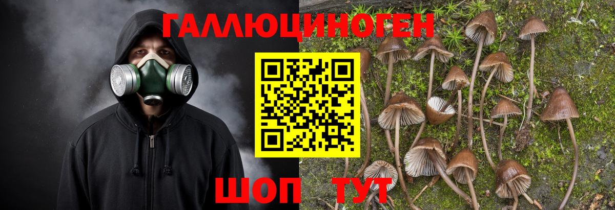 Галлюциногенные грибы мицелий  Вход с VPN  магазин продажи   Партизанск 