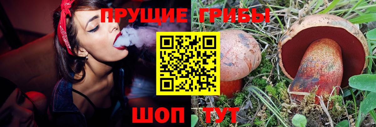 Галлюциногенные грибы Psilocybine cubensis Партизанск
